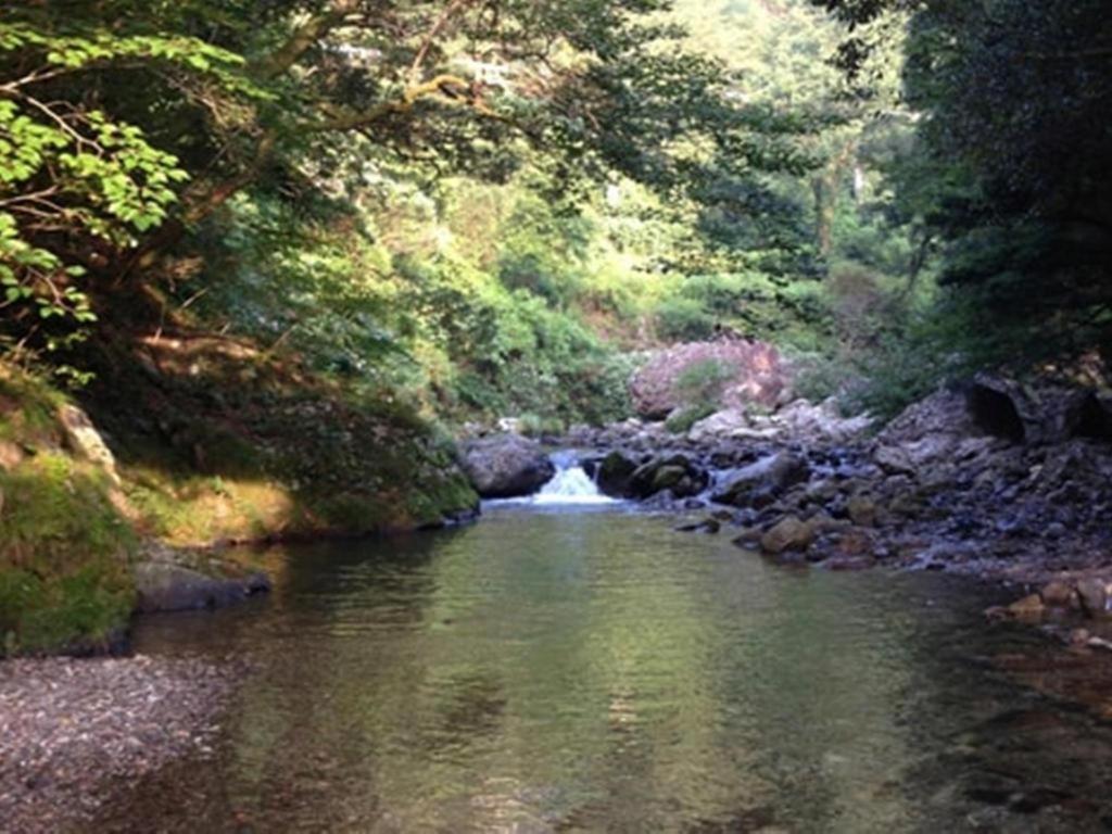 Auberge Tosayama Коти Экстерьер фото
