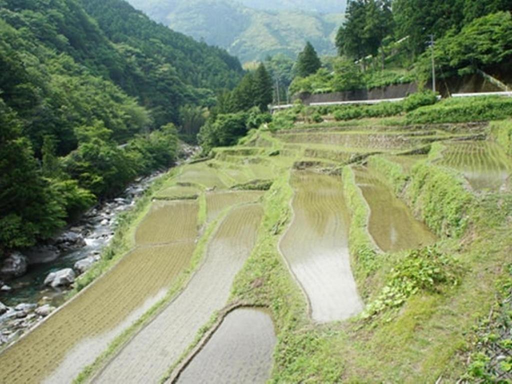 Auberge Tosayama Коти Экстерьер фото